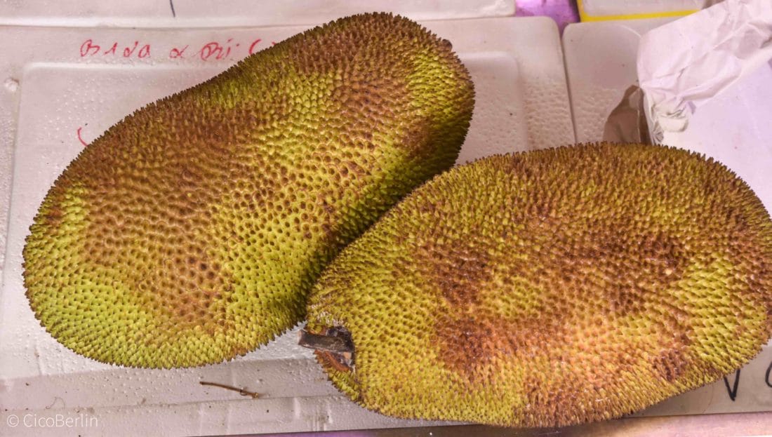 Dong Xuan Center Frucht Durian