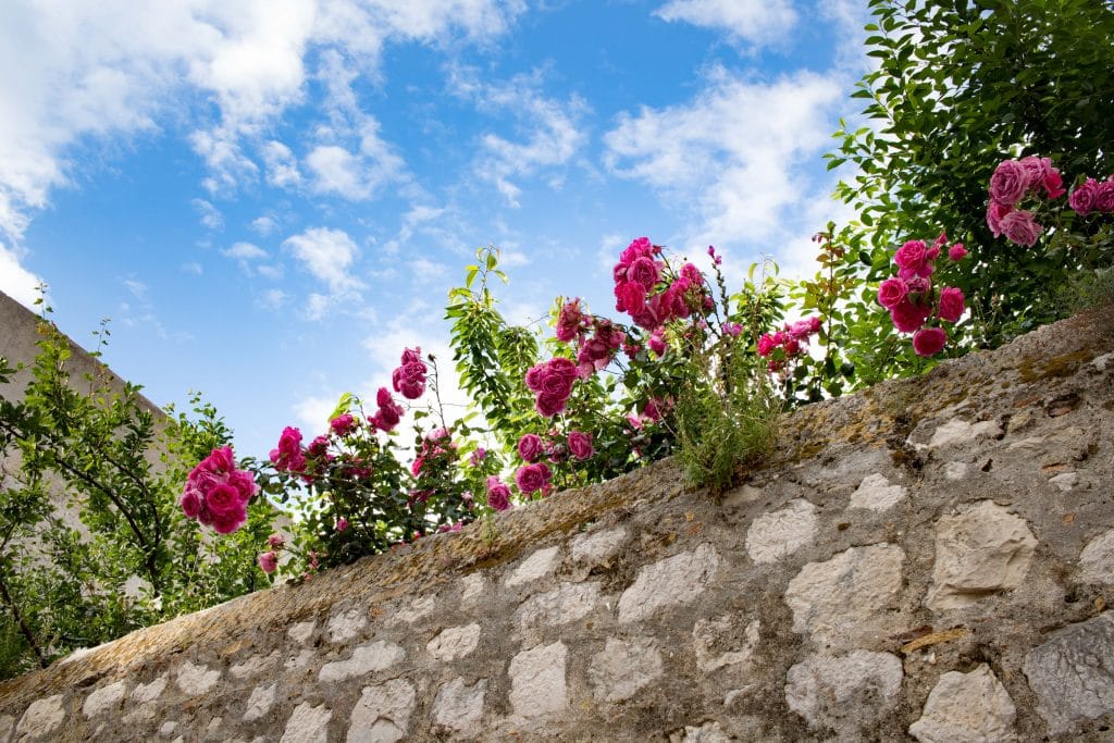 Altstadt Dubrovnik _ Dubrovnik Sehenswuerdigkeiten und Tipps von PASSENGER X