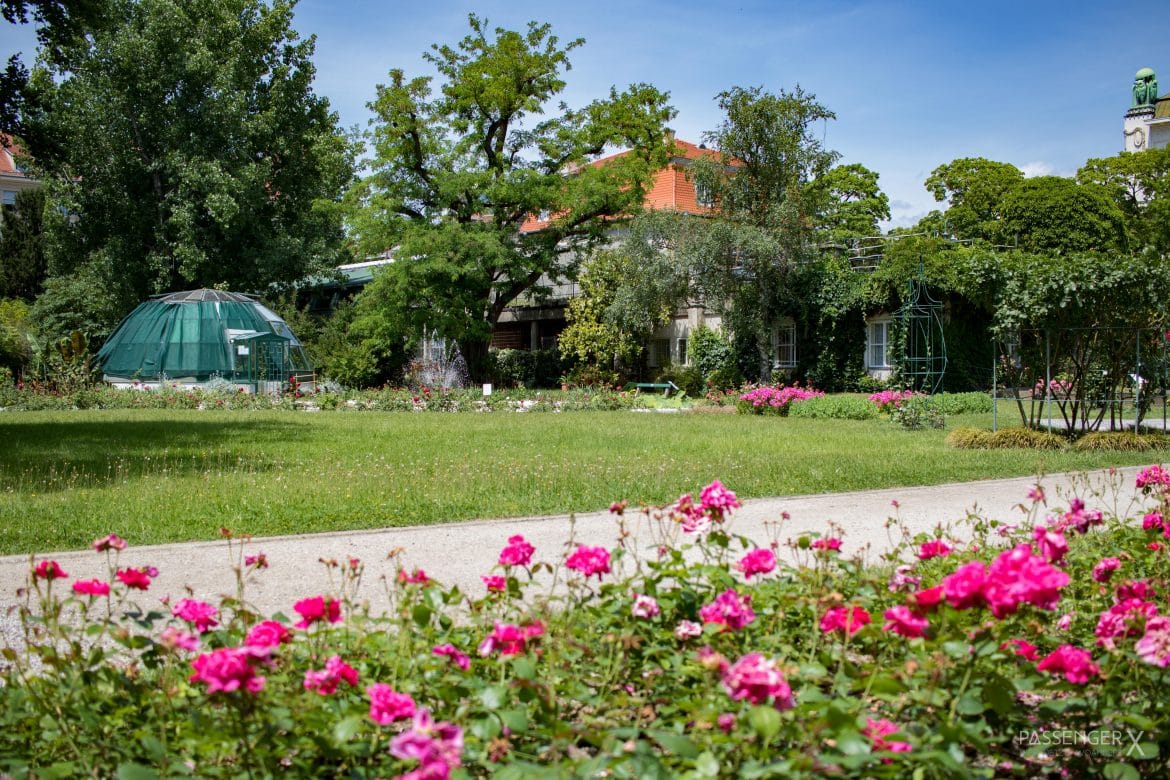 Auf der Suche nach Tipps für ein Wochenende in Zagreb? PASSENGER X verrät dir die tollsten Orte, mit dabei der Botanische Garten und der ist sogar kostenlos. 