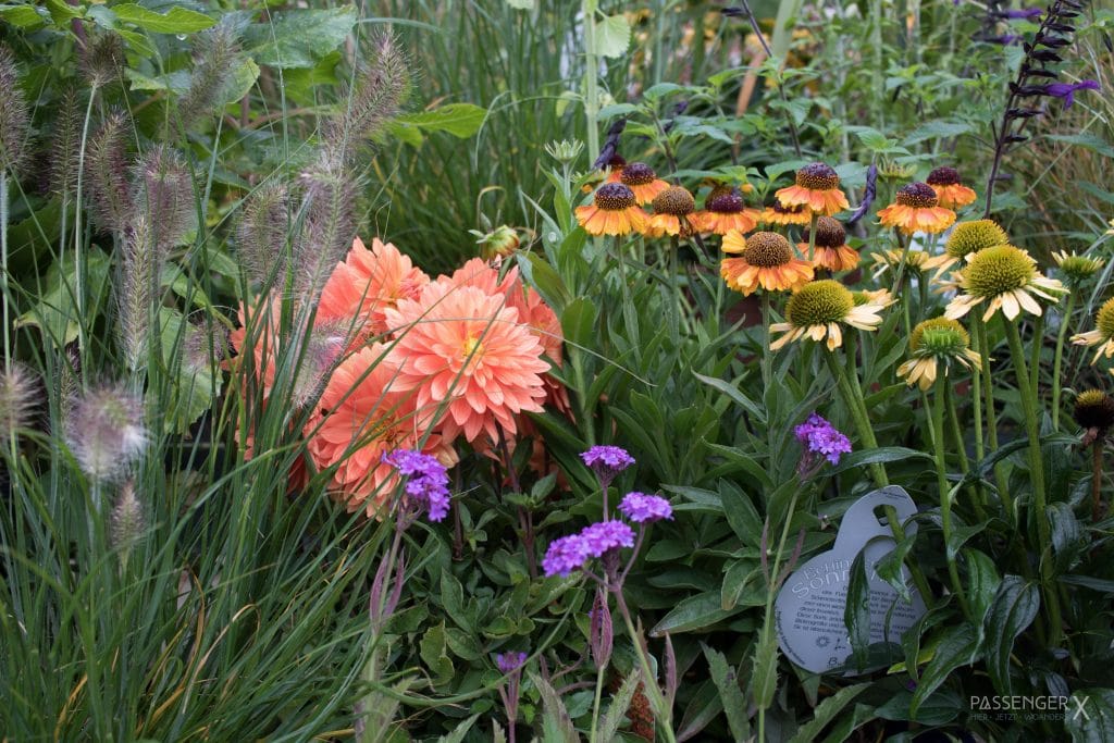 Königliche Gartenakademie Zehlendorf