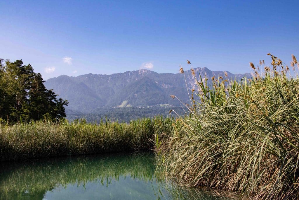 7 Kärnten Tipps für unvergessliche Tage in der wunderschönen Region Österreichs Slow Food Österreich | Wörthersee | Yoga Kärnten | Baumzelt Österreich