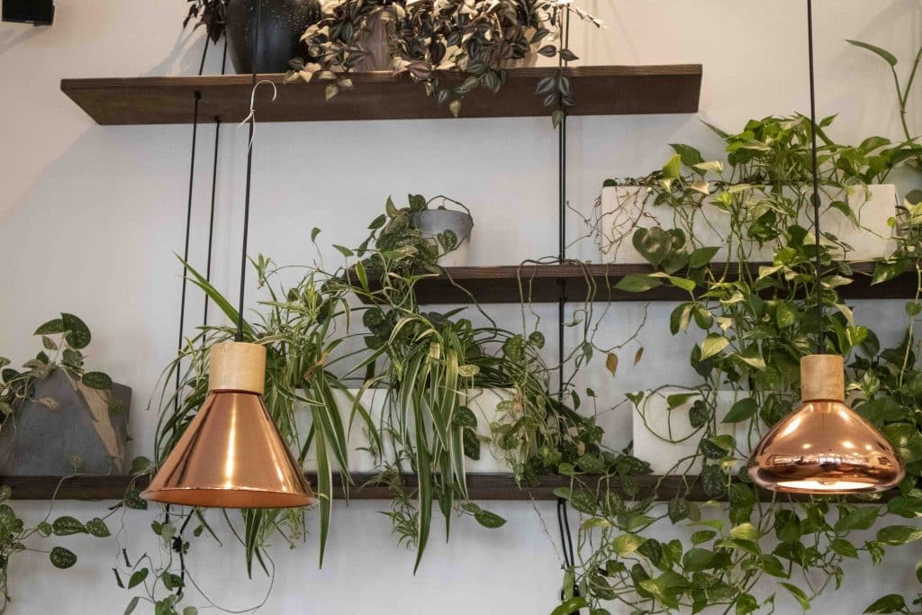 Frühstückscafe in Berlin Charlottenburg-Wilmersdorf: Café au Lait