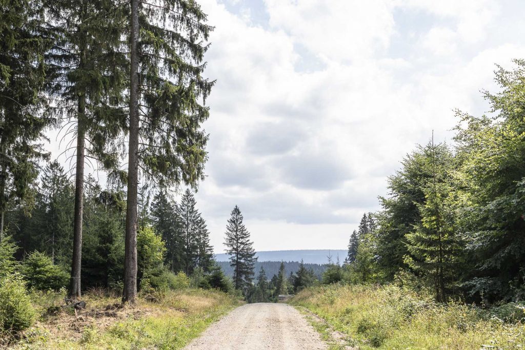 Die besten Harz Sehenswürdigkeiten