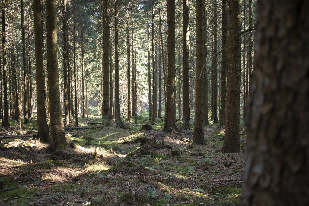 Die besten Harz Sehenswürdigkeiten