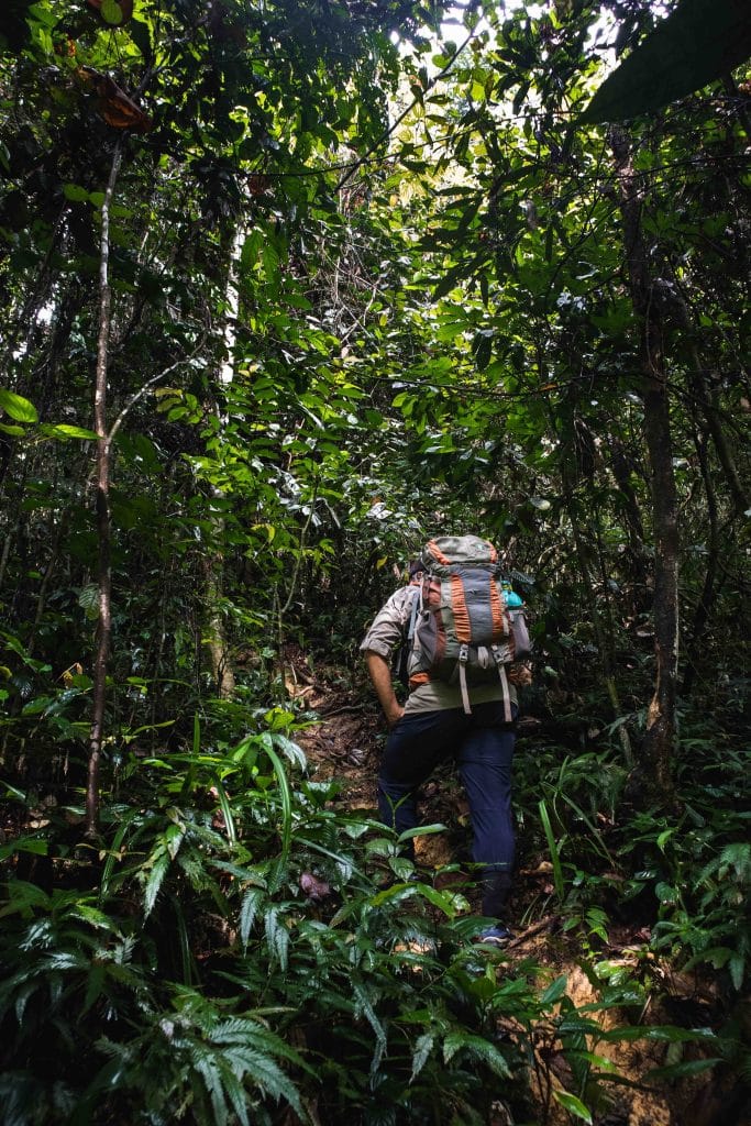 Jungle Trek Bukit Lawang - Gunung Leuser Nationalpark