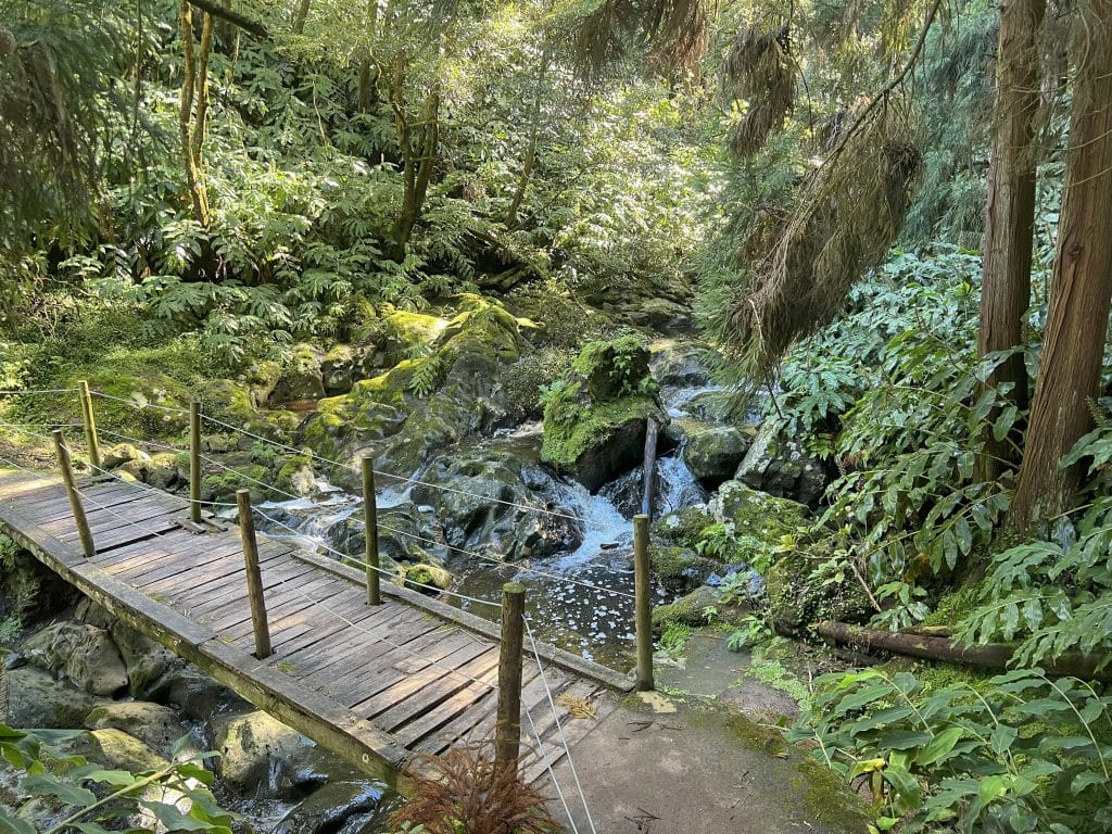 Wasserfall auf dem Azoren Wanderweg Walking trails PR21 SMI _ Salto da Farinha