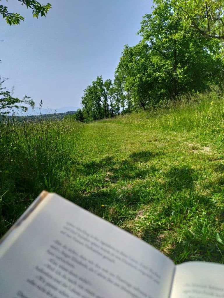 Ein entspannter Nachmittag in der Natur bei Freiburg im nahegelegenen Liliental