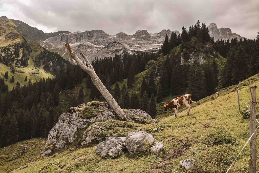 Kunstinstallation von Roland Haas