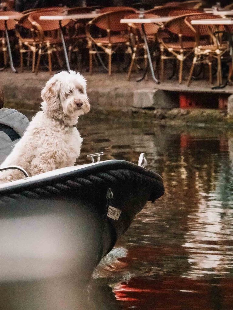 Hausboot fahren ohne Bootsschein