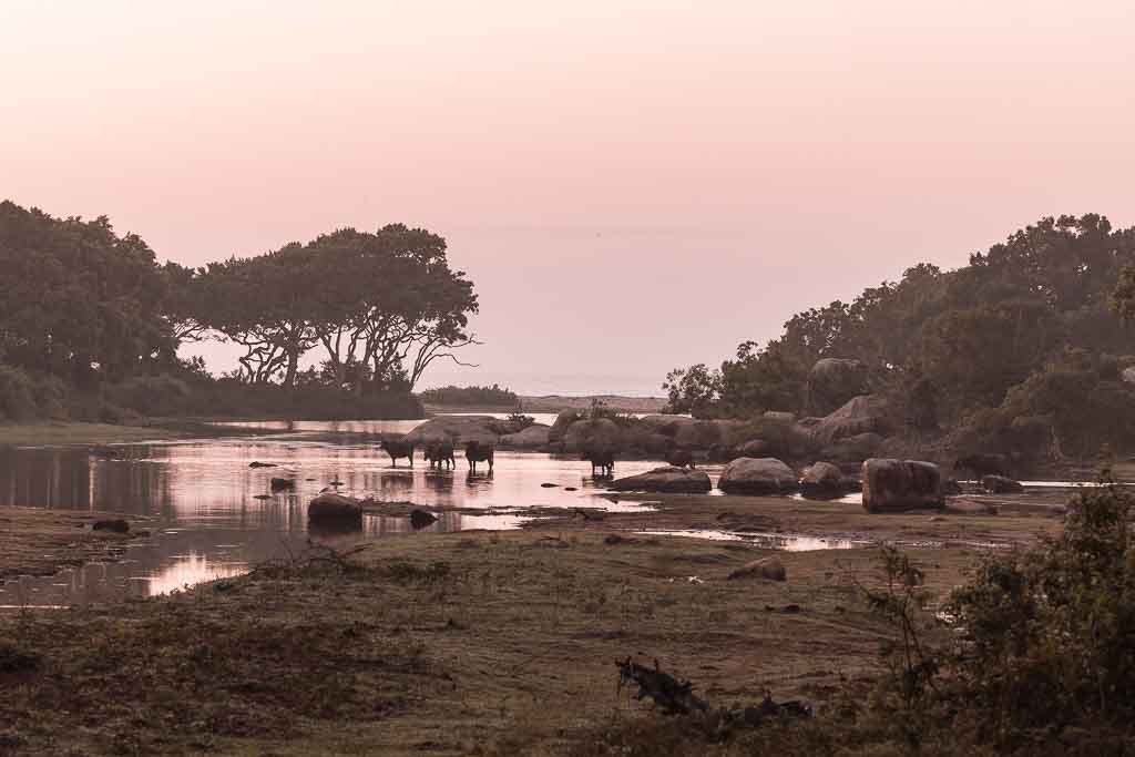 Sri Lanka Geheimtipps bester Nationalpark