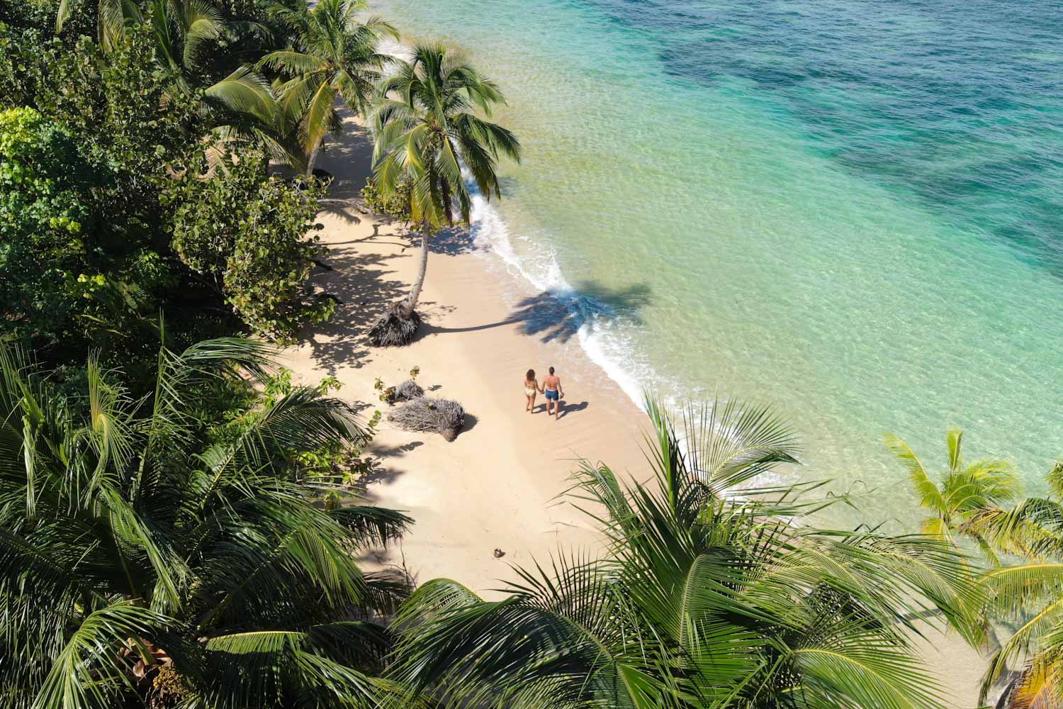 Panama Rundreise: Polo Beach, Isla Bastimentos, Bocas del Toro