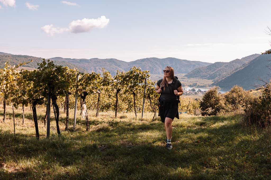 Wachau wandern - Erfahrung Welterbesteig